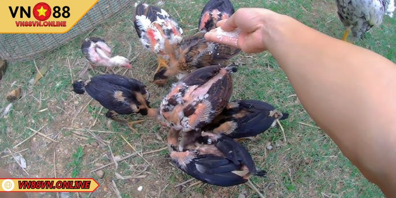 Mỗi mùa sẽ có mỗi chế độ ăn khác nhau