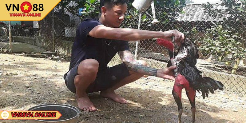 Rèn thể lực từ bài tập hàng ngày