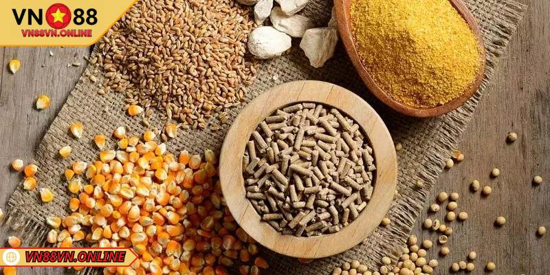 Tìm hiểu chế độ dinh dưỡng của gà