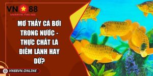 Mơ thấy cá bơi trong nước