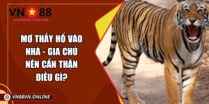 Mơ thấy hổ vào nhà